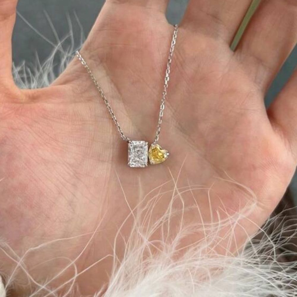Chic Silver Necklace N1239